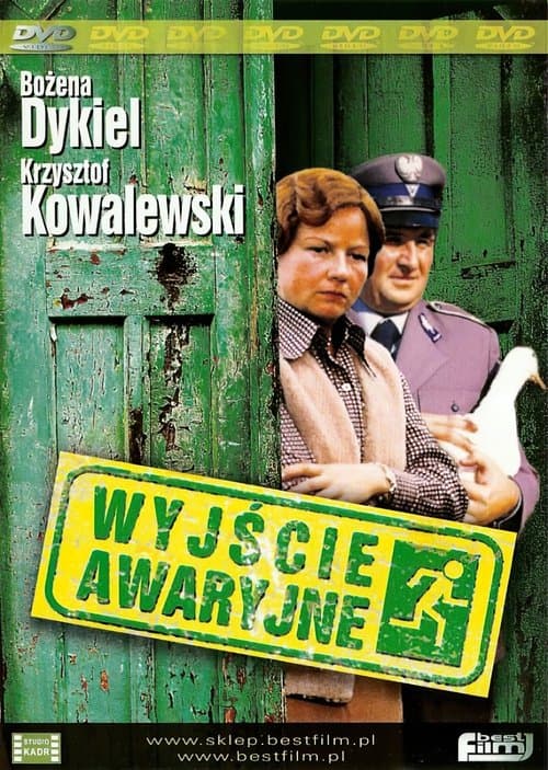 Die Notlösung poster