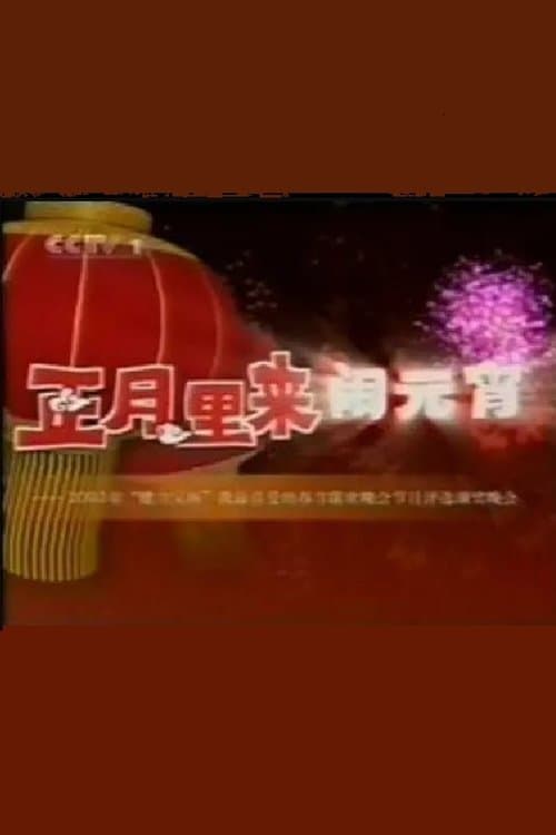 2003年中央电视台元宵晚会 poster