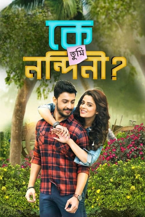 কে তুমি নন্দিনী poster