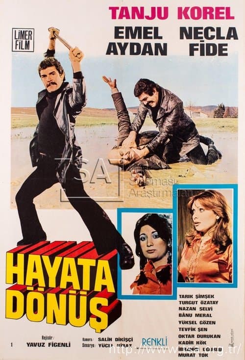 Hayata Dönüş poster