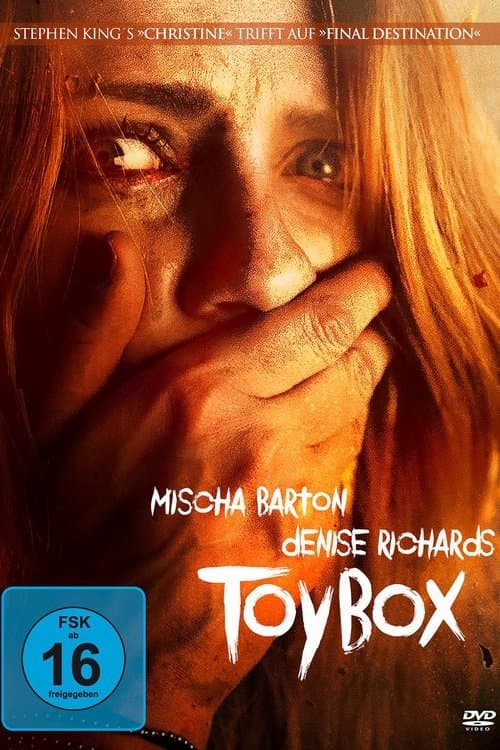 The Toybox poster