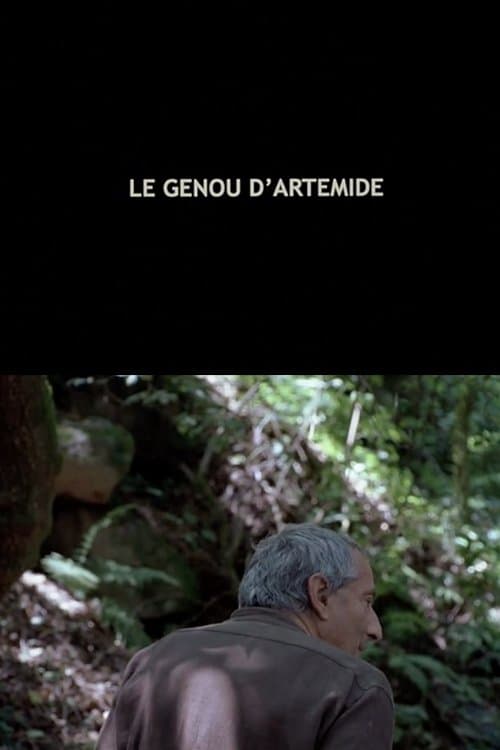 Le Genou d'Artémide poster