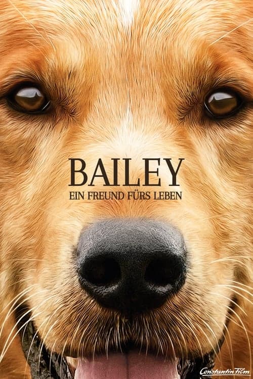 Bailey - Ein Freund fürs Leben poster