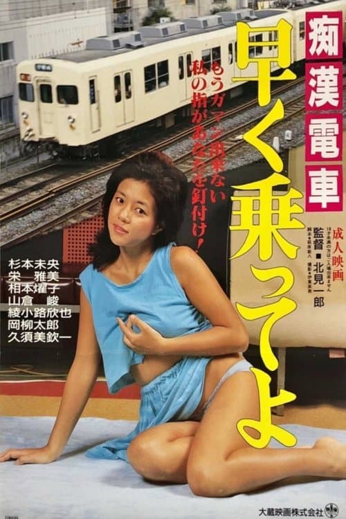 痴漢ムラムラ電車 poster