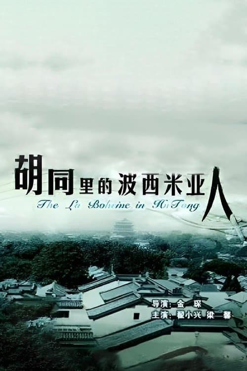 胡同里的波西米亚人 poster