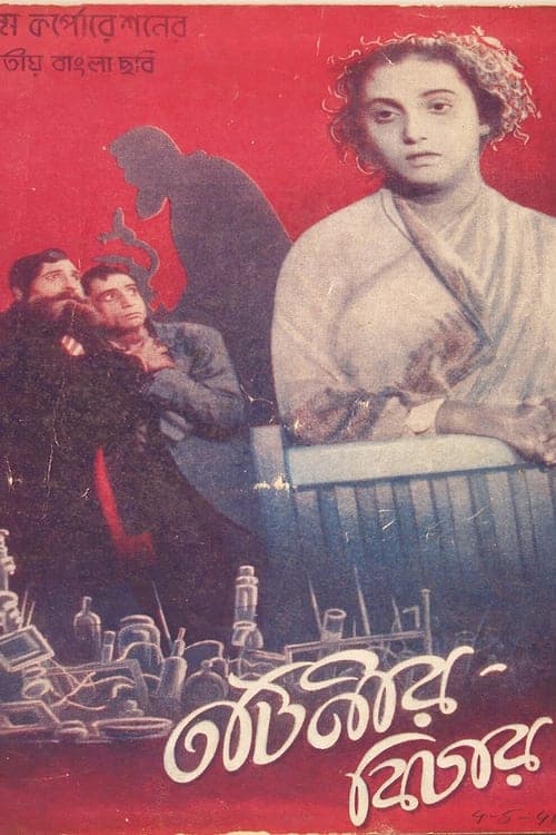তটিনীর বিচার poster