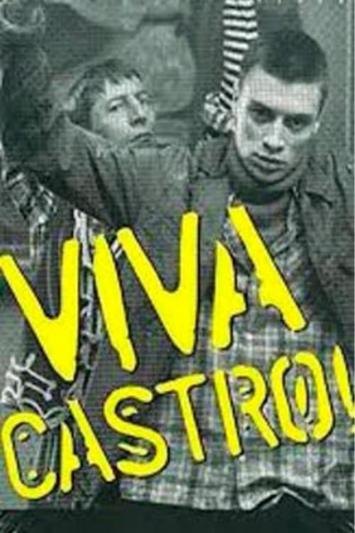 Вива, Кастро! poster