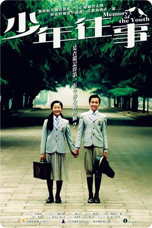 少年往事 poster