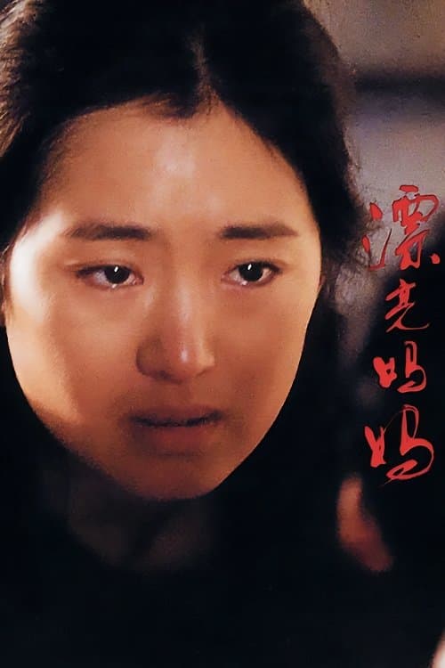 漂亮妈妈 poster