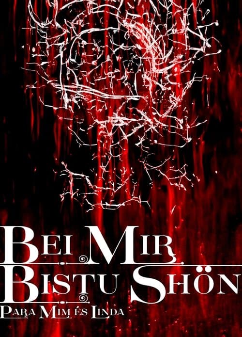 BEI MIR BISTU SHON: PARA MIM ES LINDA poster