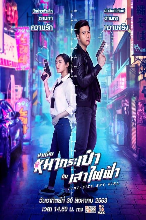 สายลับหมากระเป๋ากับเสาไฟฟ้า poster