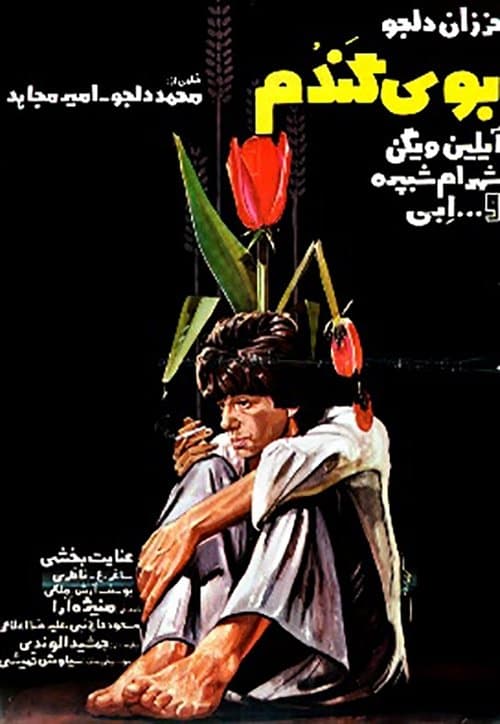 بوی گندم poster