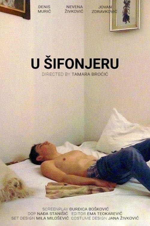 У шифоњеру poster