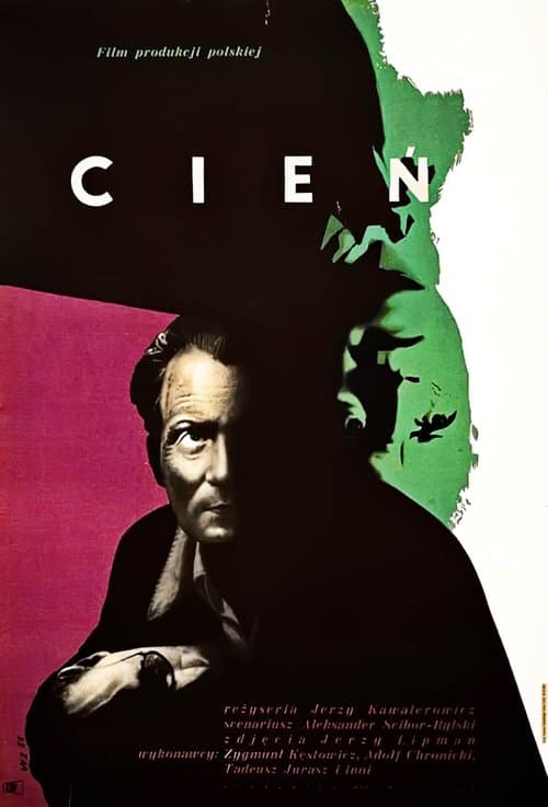 Cień poster