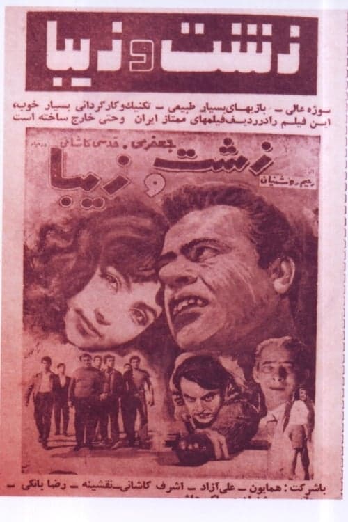 زشت و زيبا poster