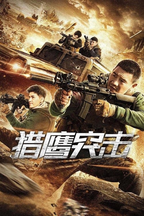 猎鹰突击 poster