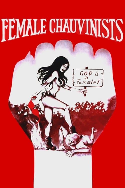 Female Chauvinists poster