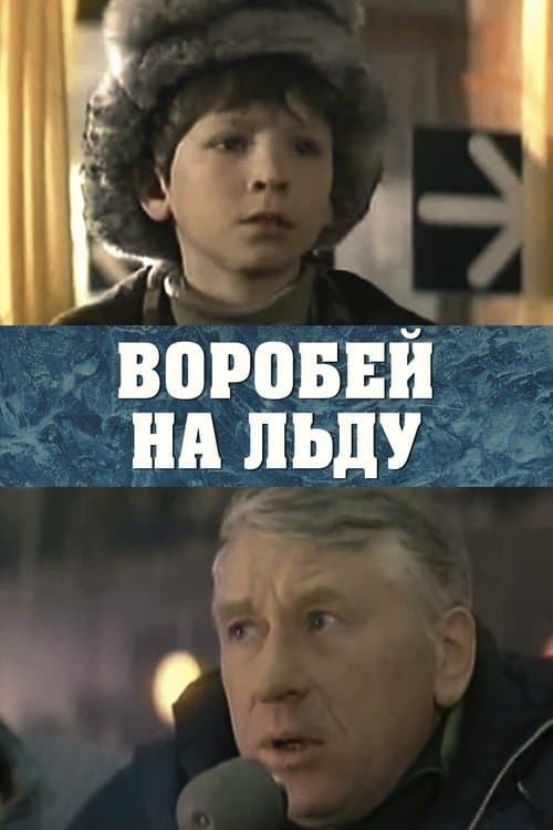 Воробей на льду poster