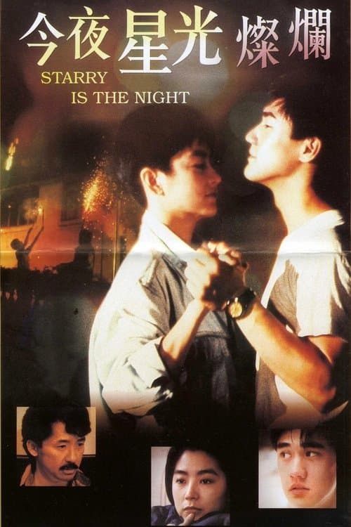 今夜星光燦爛 poster