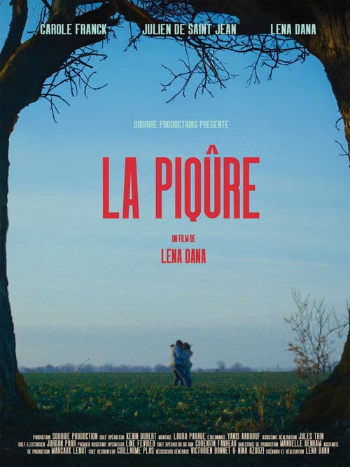 La Piqûre poster
