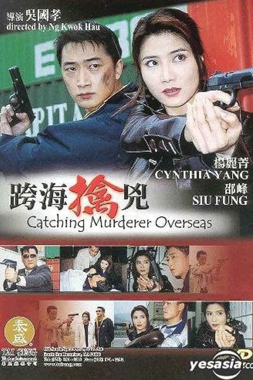 跨海擒兇 poster