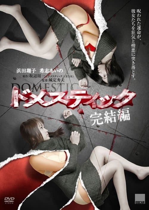 ドメスティック 完結編 poster