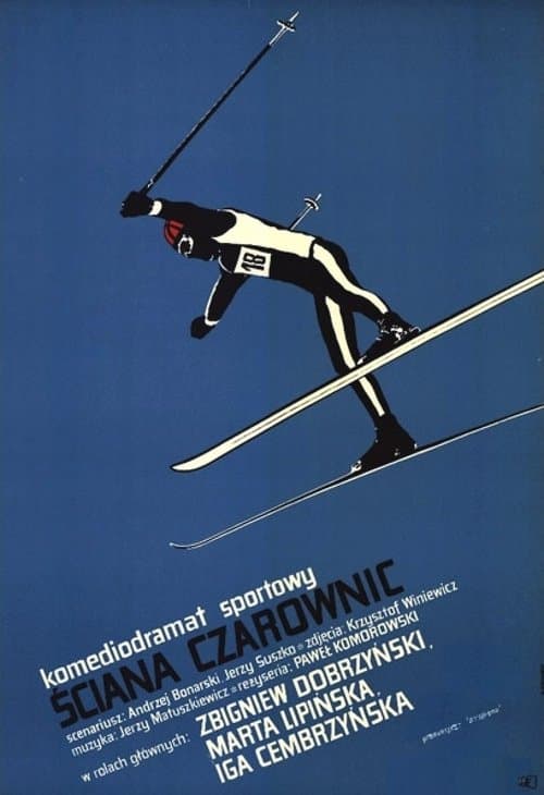 Ściana czarownic poster