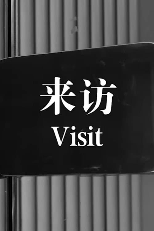 来访 poster