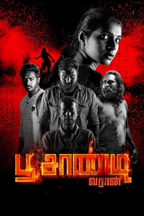 பூ சாண்டி வரான் poster