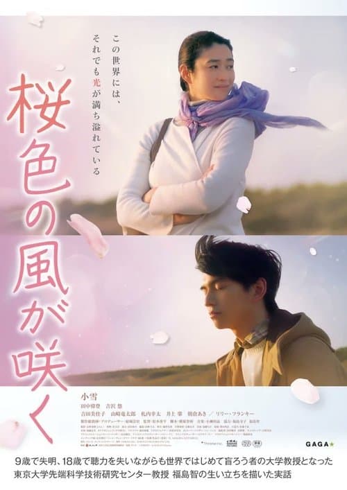 桜色の風が咲く poster
