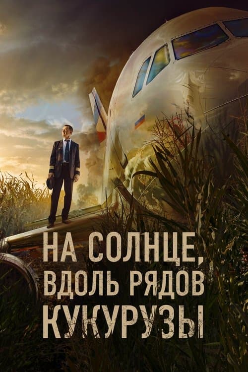 На солнце, вдоль рядов кукурузы poster