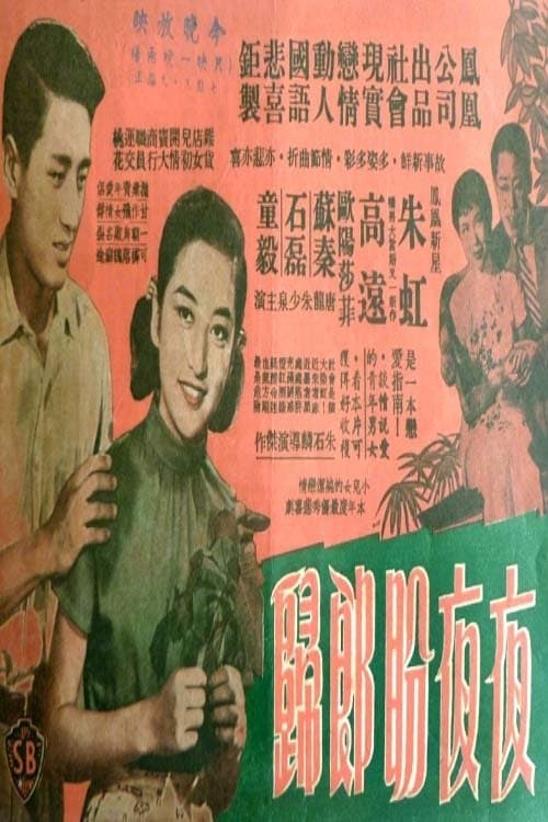 夜夜盼郎歸 poster