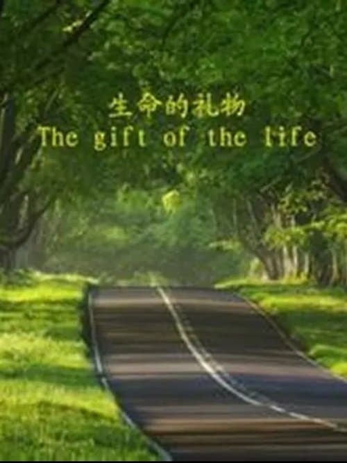 生命的礼物 poster