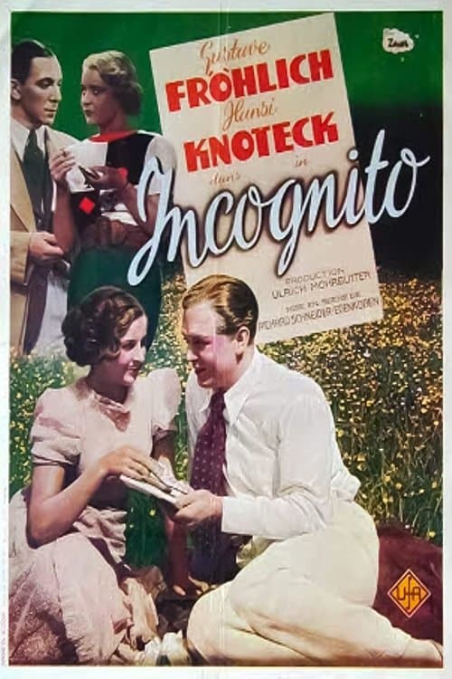 Inkognito poster