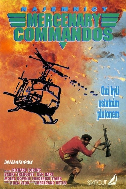 Ses Soldate poster