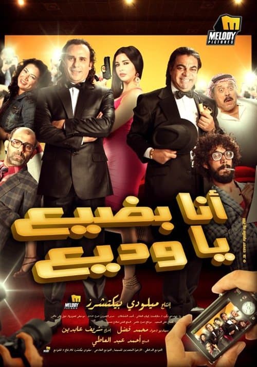 انا بضيع يا وديع poster