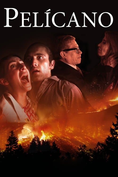 Pelícano poster