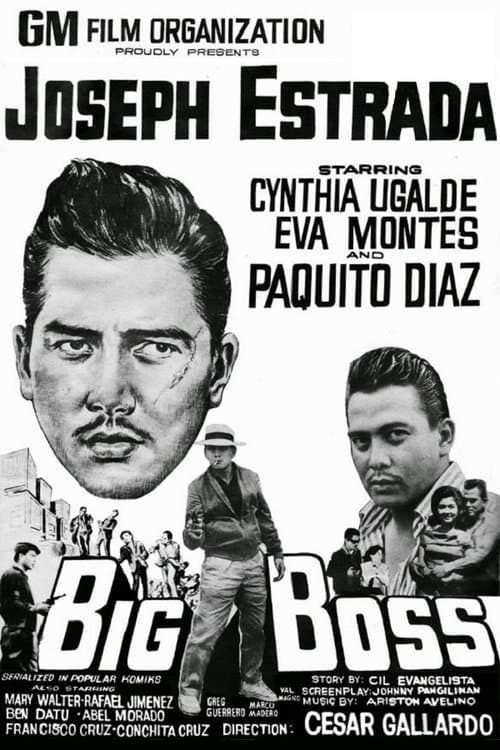 Big Boss poster