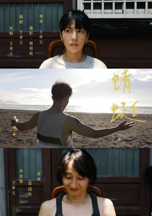 蜻蜓 poster