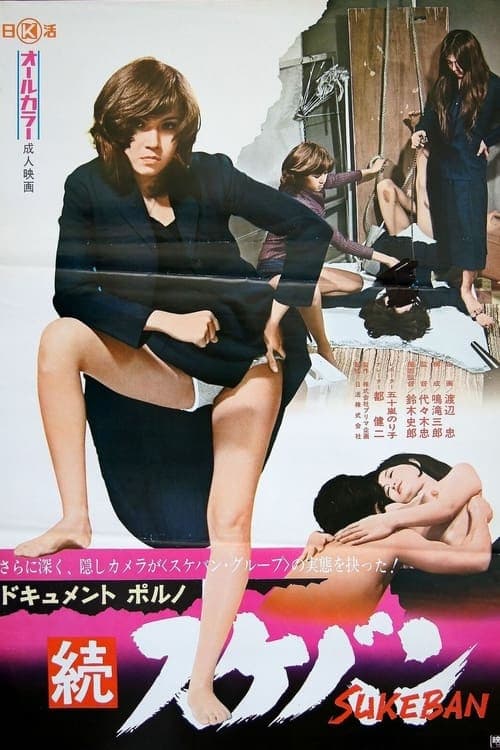 ドキュメントポルノ　続・スケバン poster