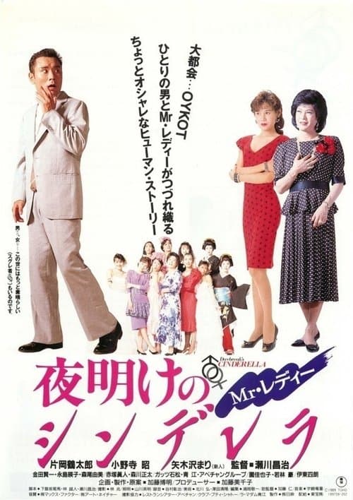 Mr.レディー 夜明けのシンデレラ poster