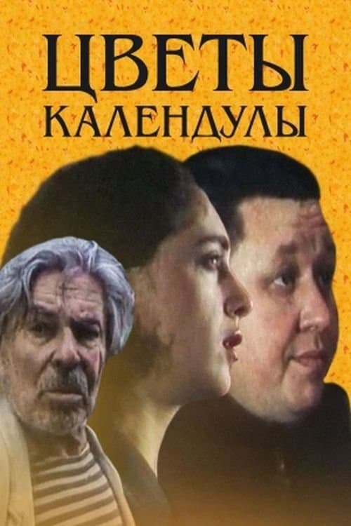 Цветы календулы poster