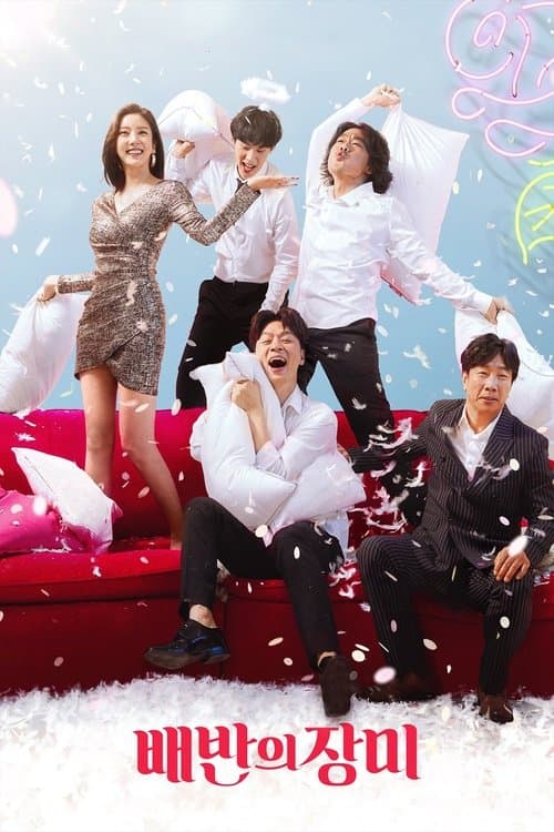 배반의 장미 poster