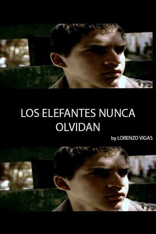Los Elefantes Nunca Olvidan poster