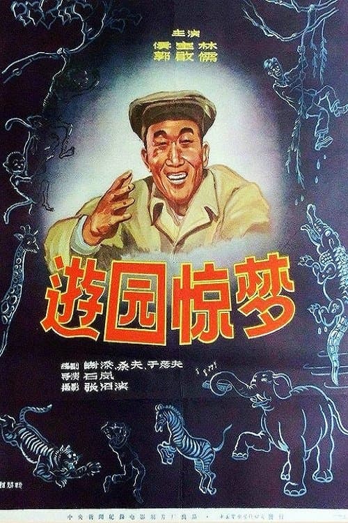 游园惊梦 poster