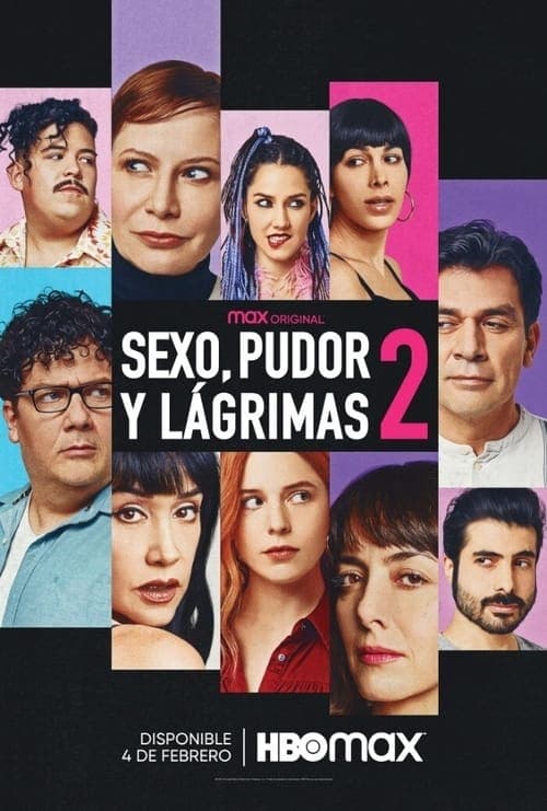Sexo, pudor y lágrimas 2 poster
