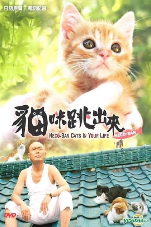 ねこばん３Ｄ　とび出すにゃんこ poster