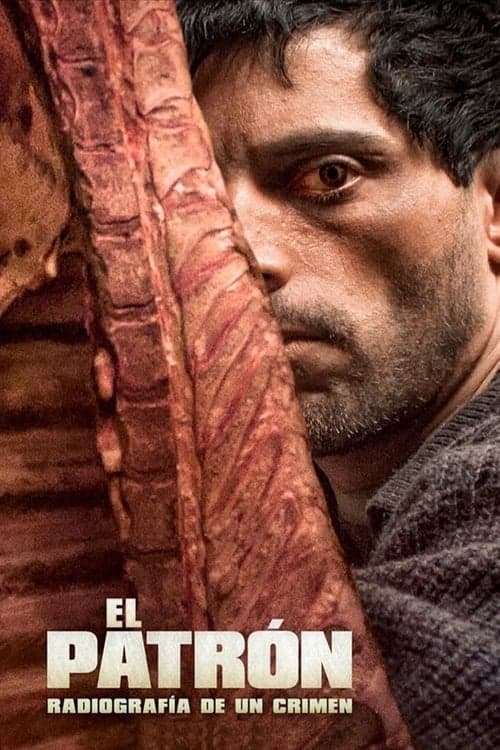 El patrón, radiografía de un crimen poster