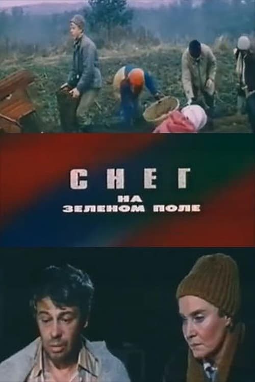 Снег на зелёном поле poster