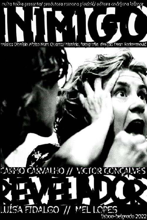 Inimigo Revelador poster